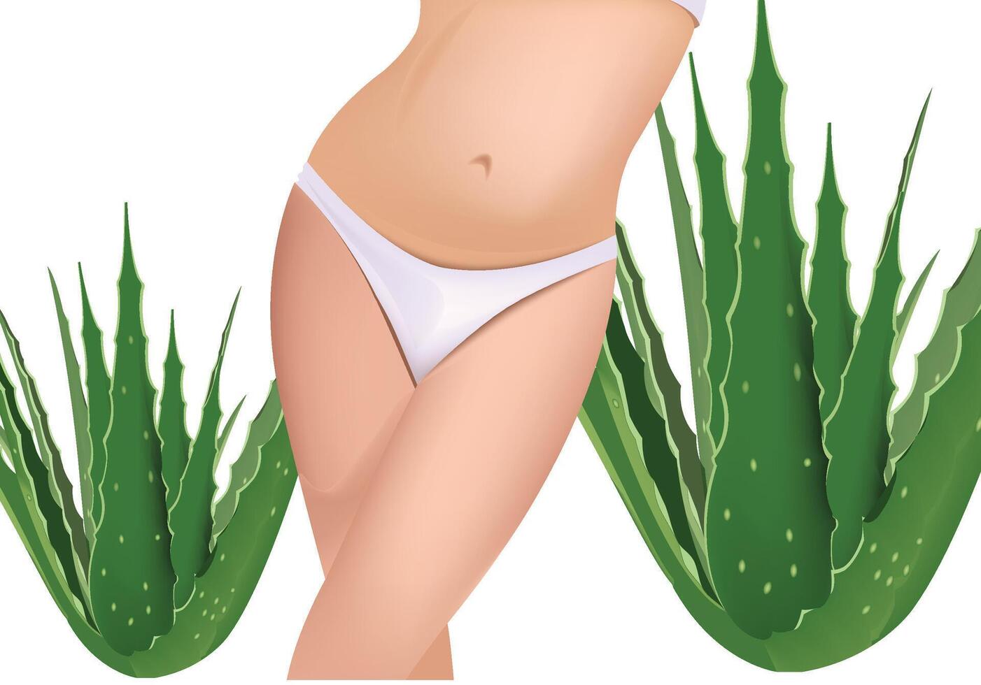 Woman body promoting aloe vera gel for intimate hygiene and beauty products vector