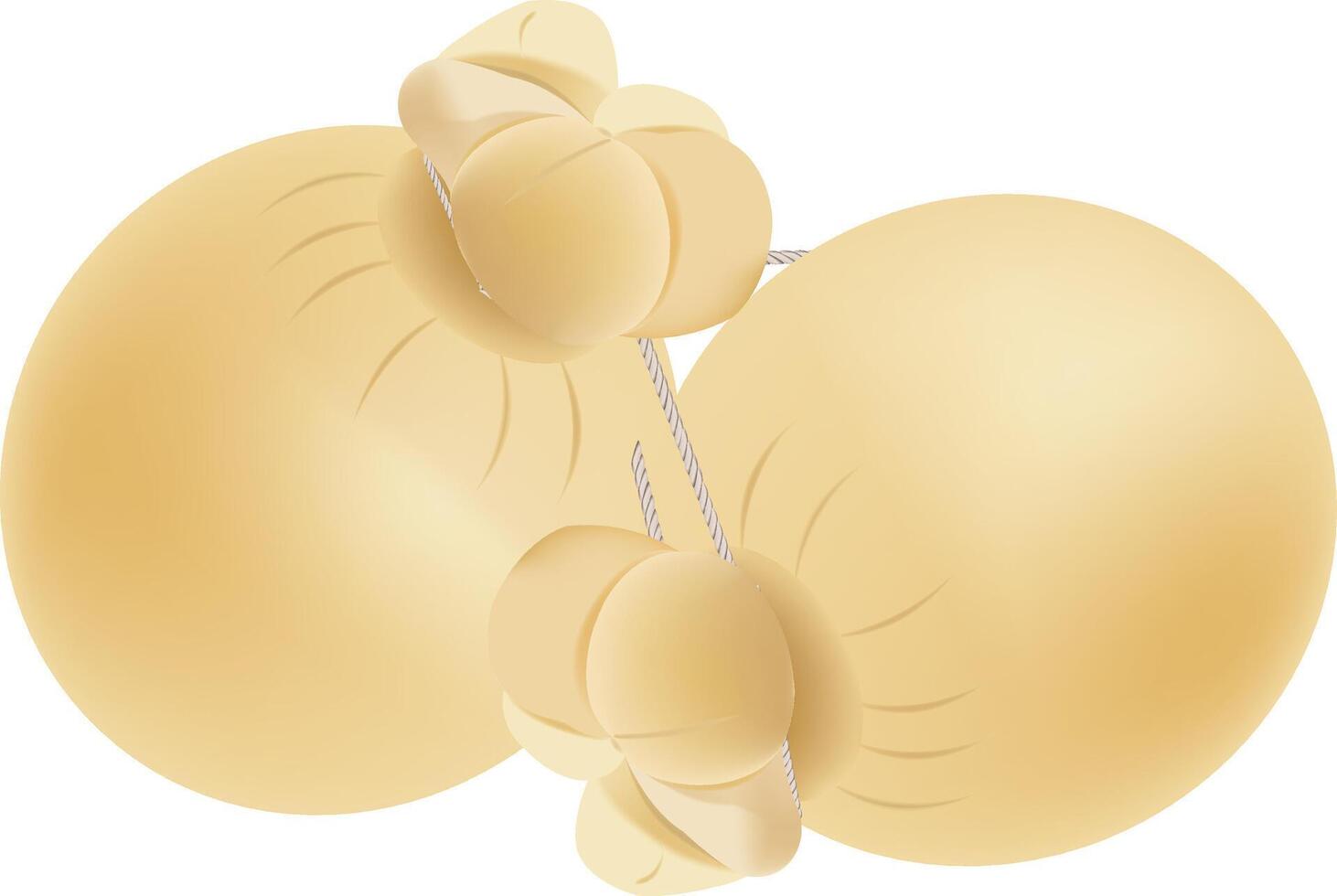 processed cheese, aged and tied with string vector