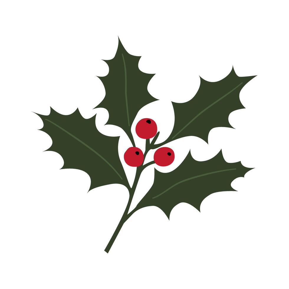christmas holly leaf with red berries vector