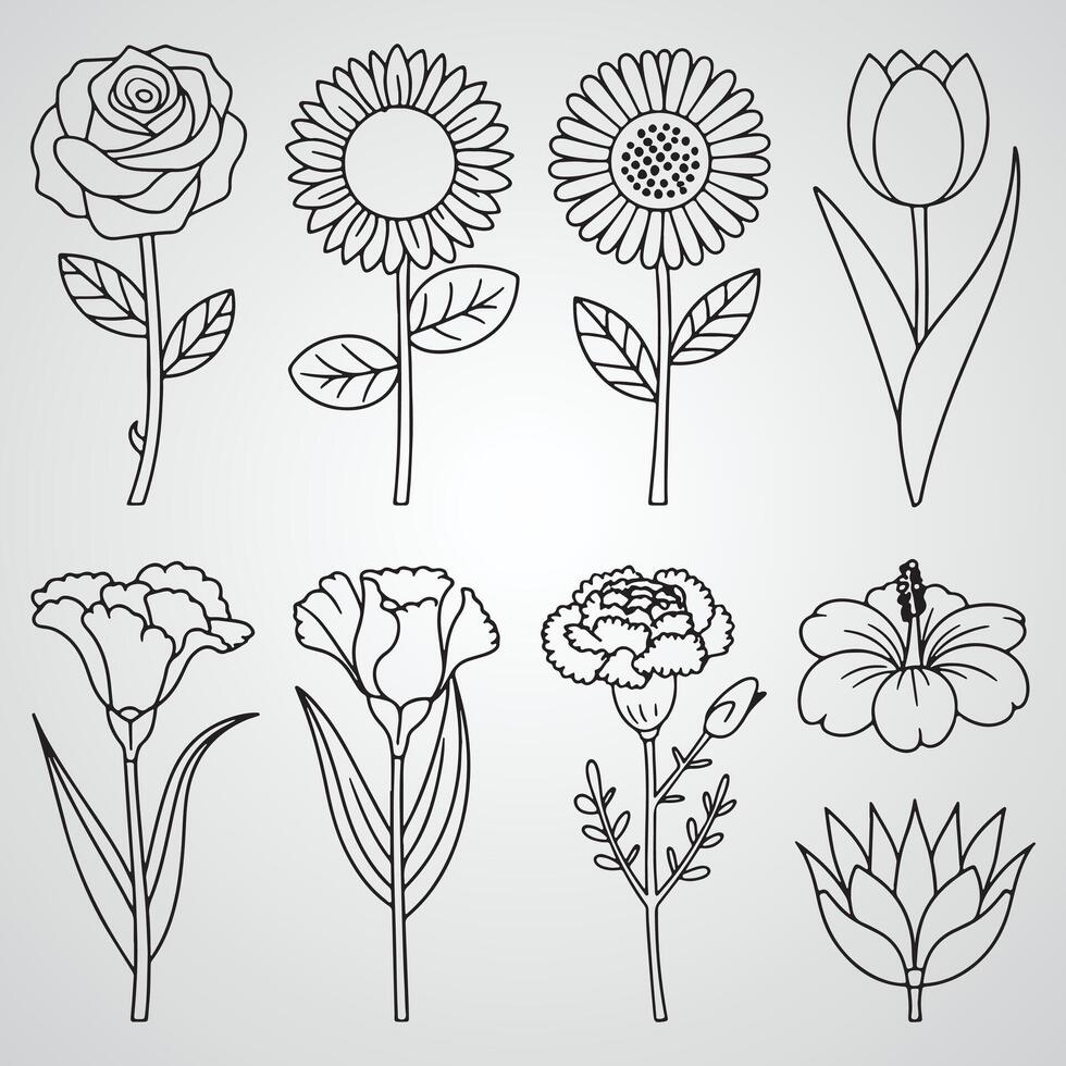 a collection of flowers including Elegant Hand Illustrated Flower and Leaf Design vector