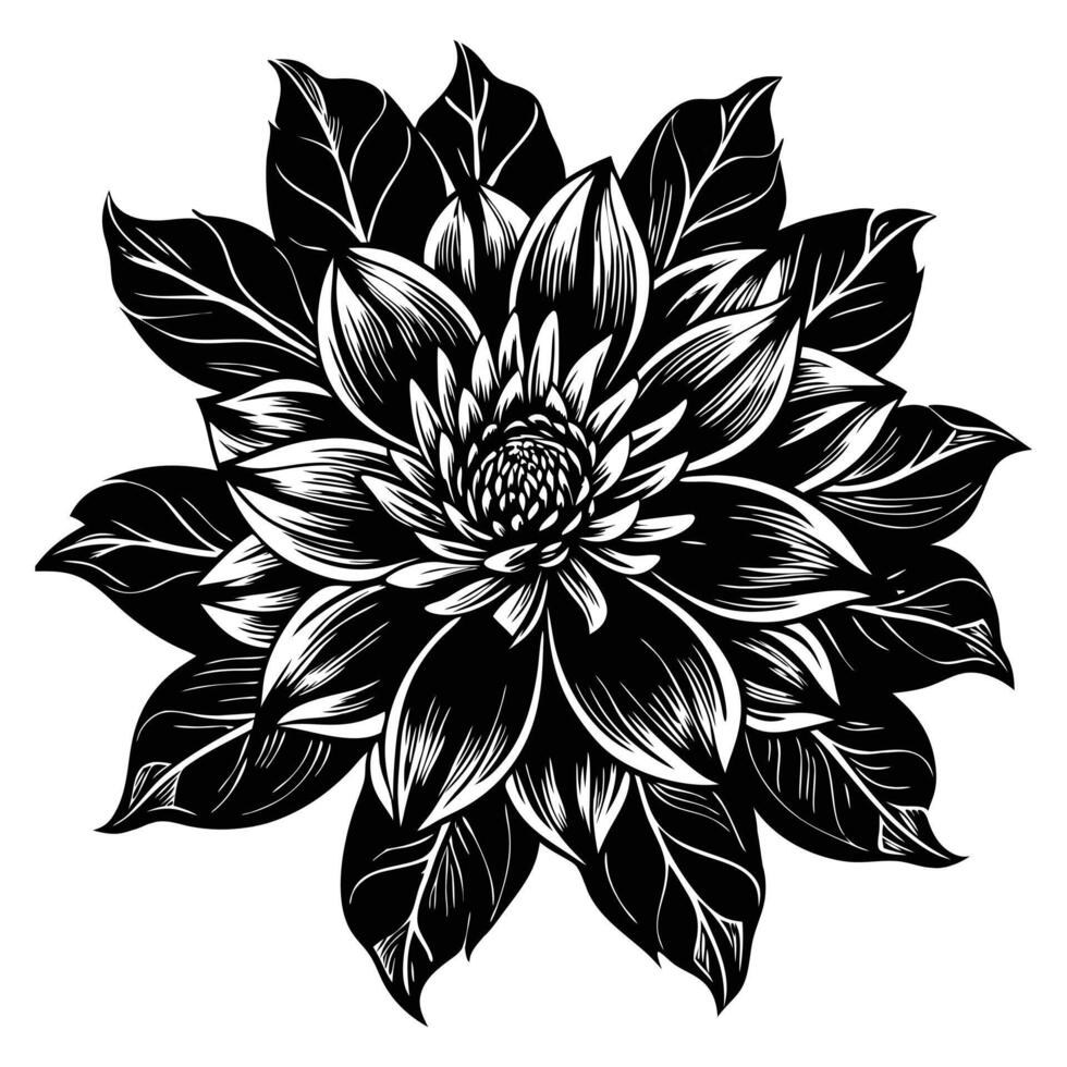 The Intricate Floral Illustration in Black and White vector