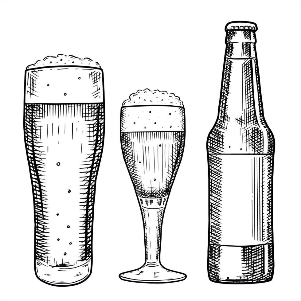 Hand drawn bottle and glasses of beer. illustration vector