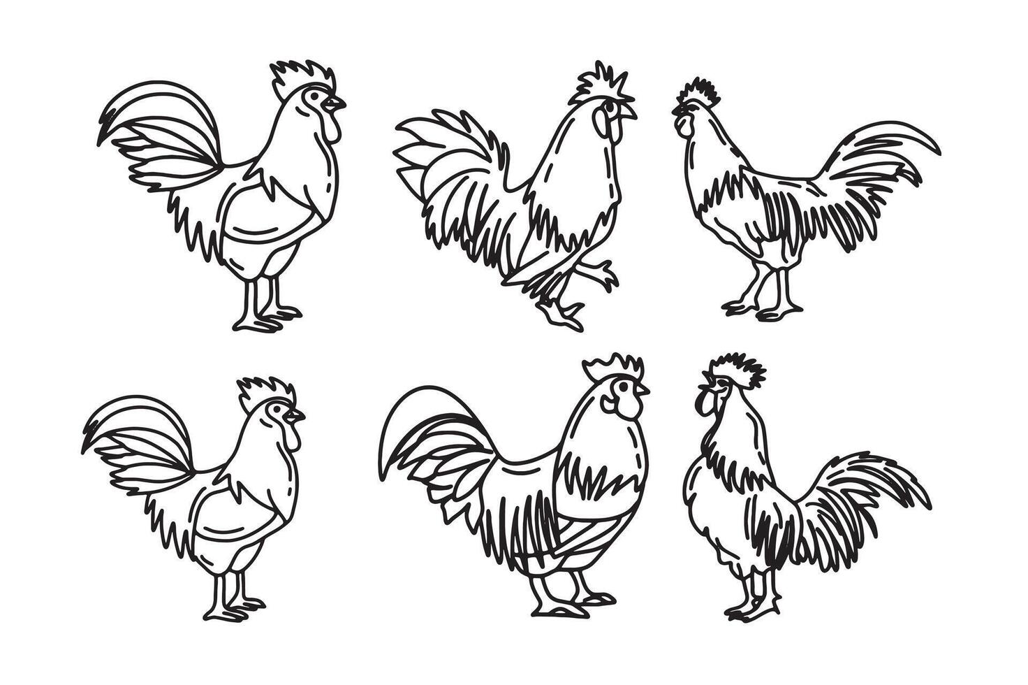 Collection of hand-drawn rooster illustrations. vector