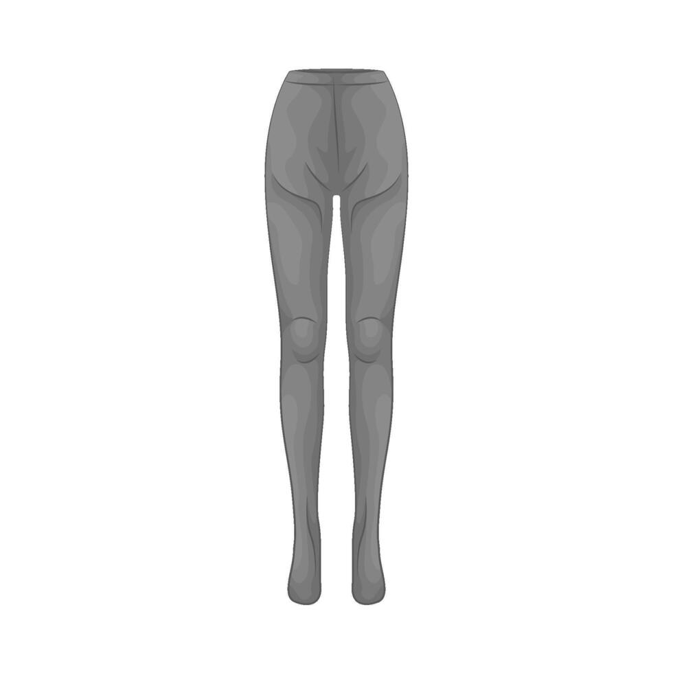 Illustration of legging vector