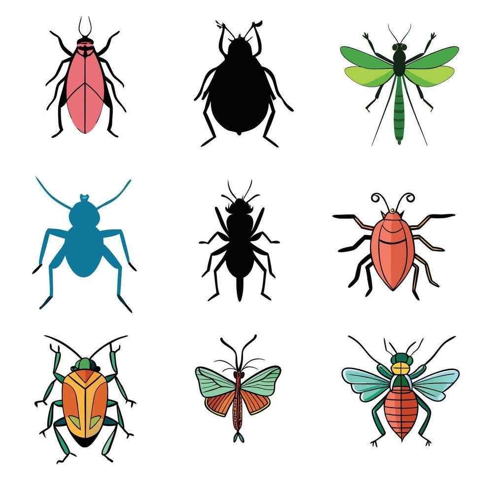 Insects illustration clipart vector