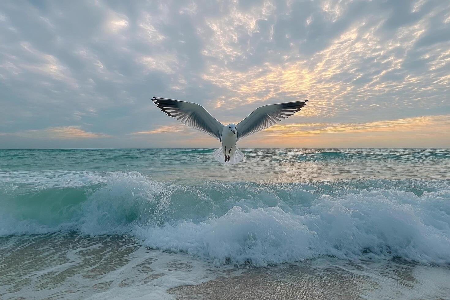 Seagull soaring over gentle waves at a serene beach under a cloudy sky in the afternoon photo