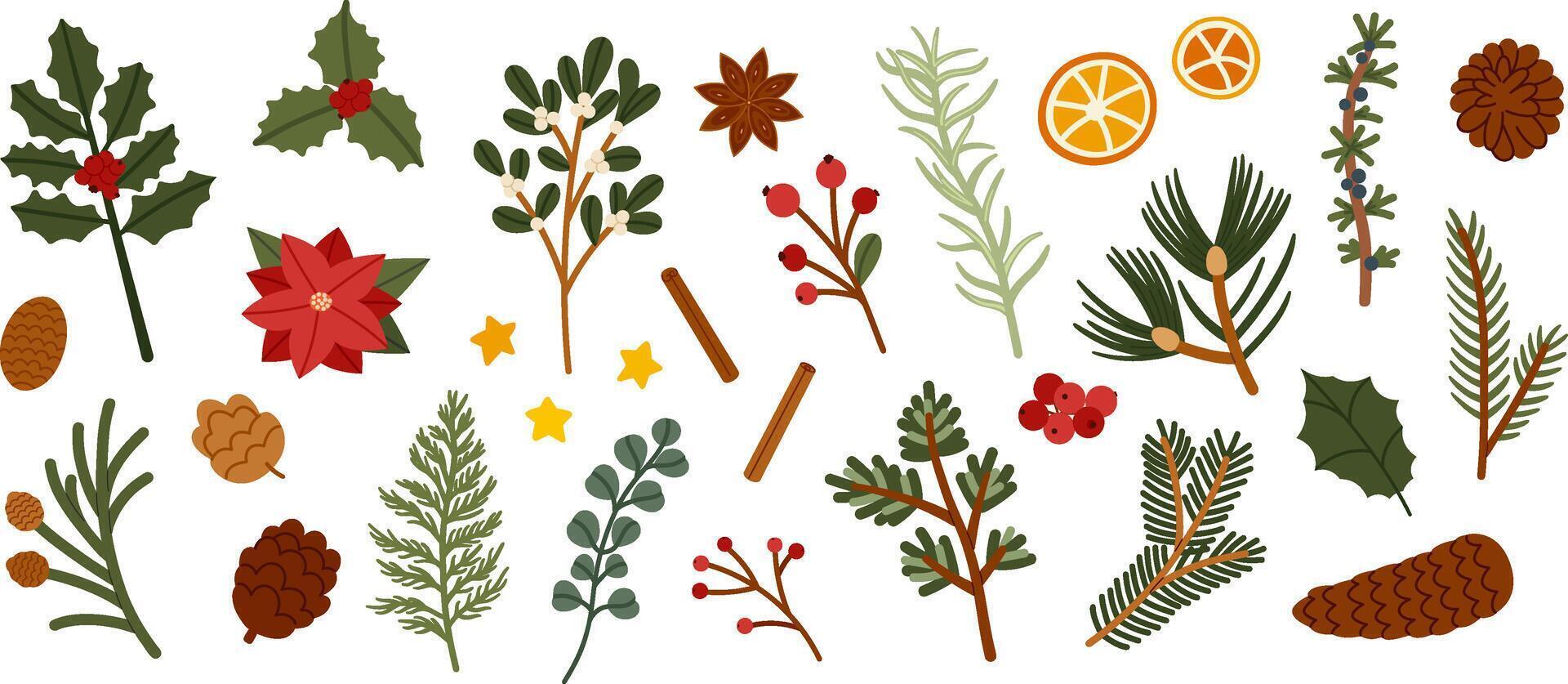 Christmas and Winter Botanical Elements Set vector
