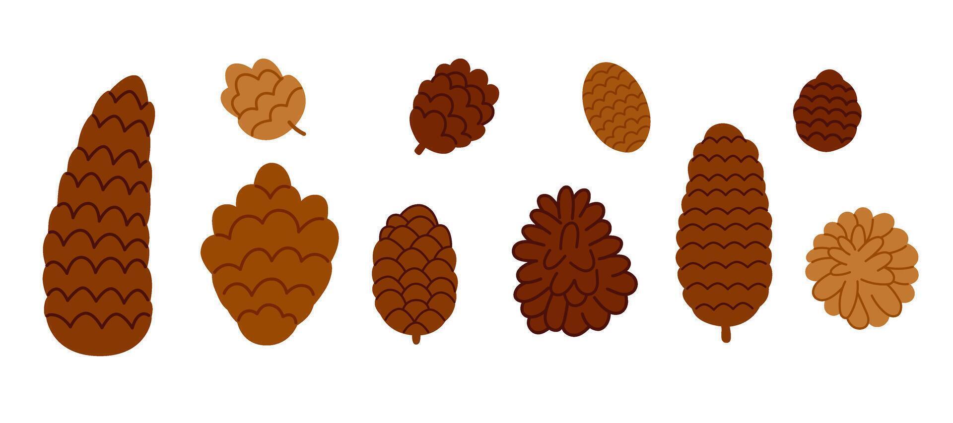 Diverse Pinecone Collection vector