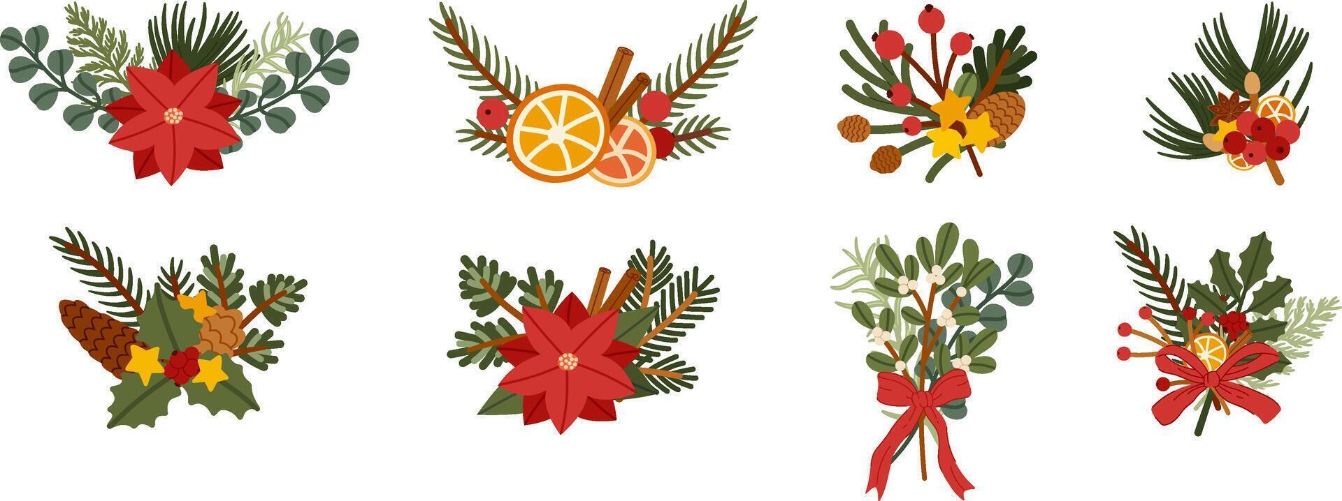 Christmas Botanical Festive Flora and Spice Decoration Collection vector