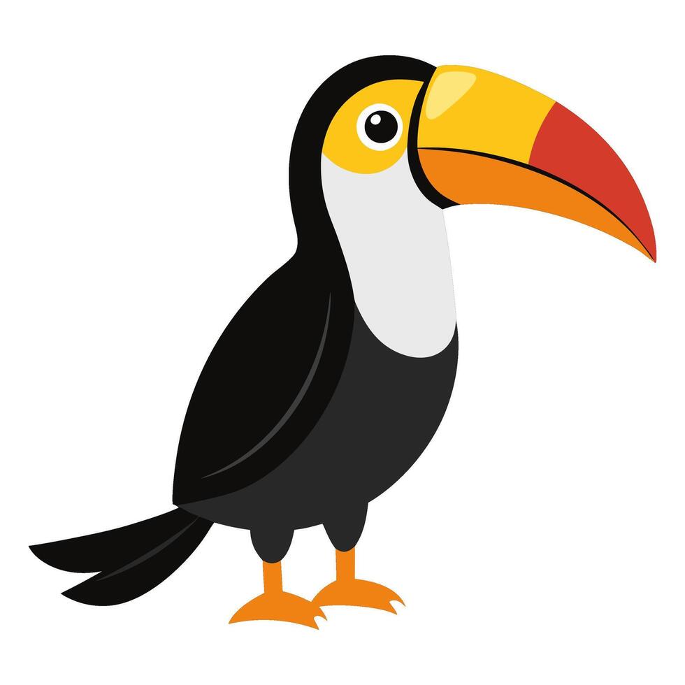 Toucan, tropical bird, trendy flat style isolated. illustration vector