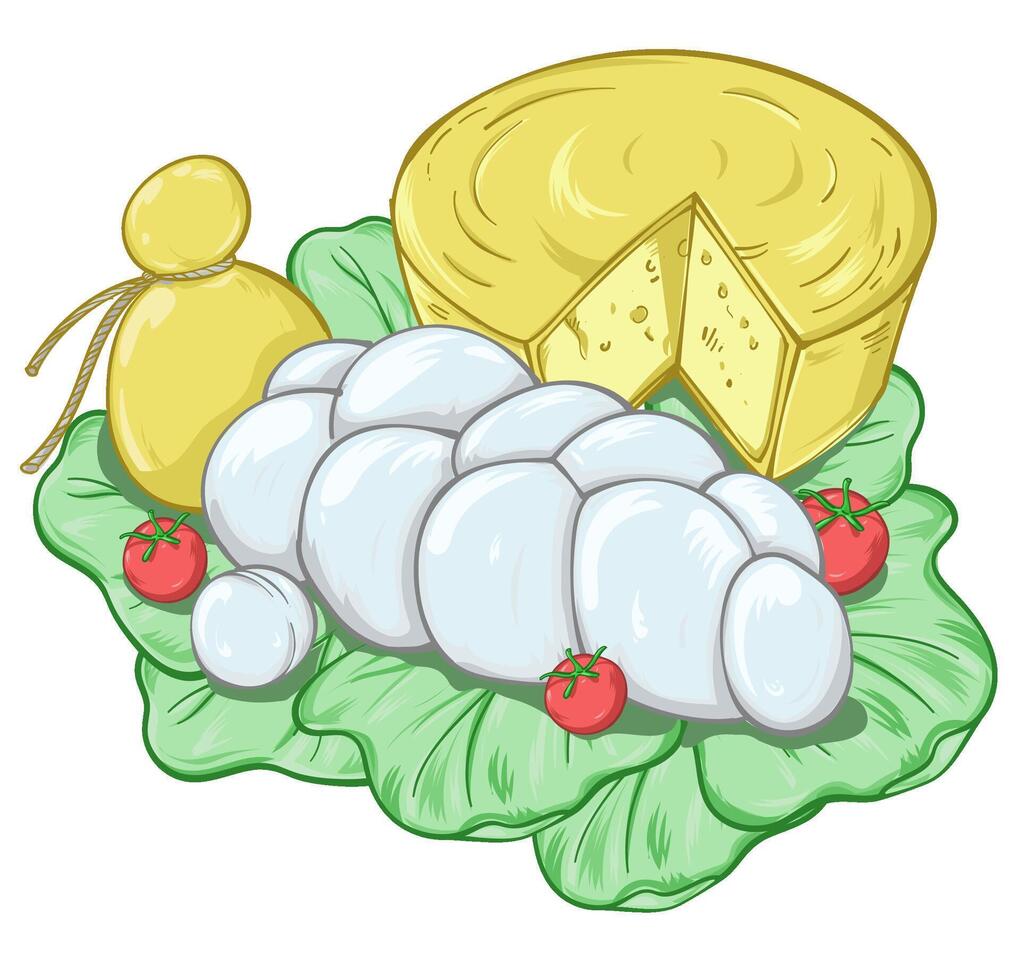 composition of traditional Italian cheeses on a plate of lettuce. illustration vector