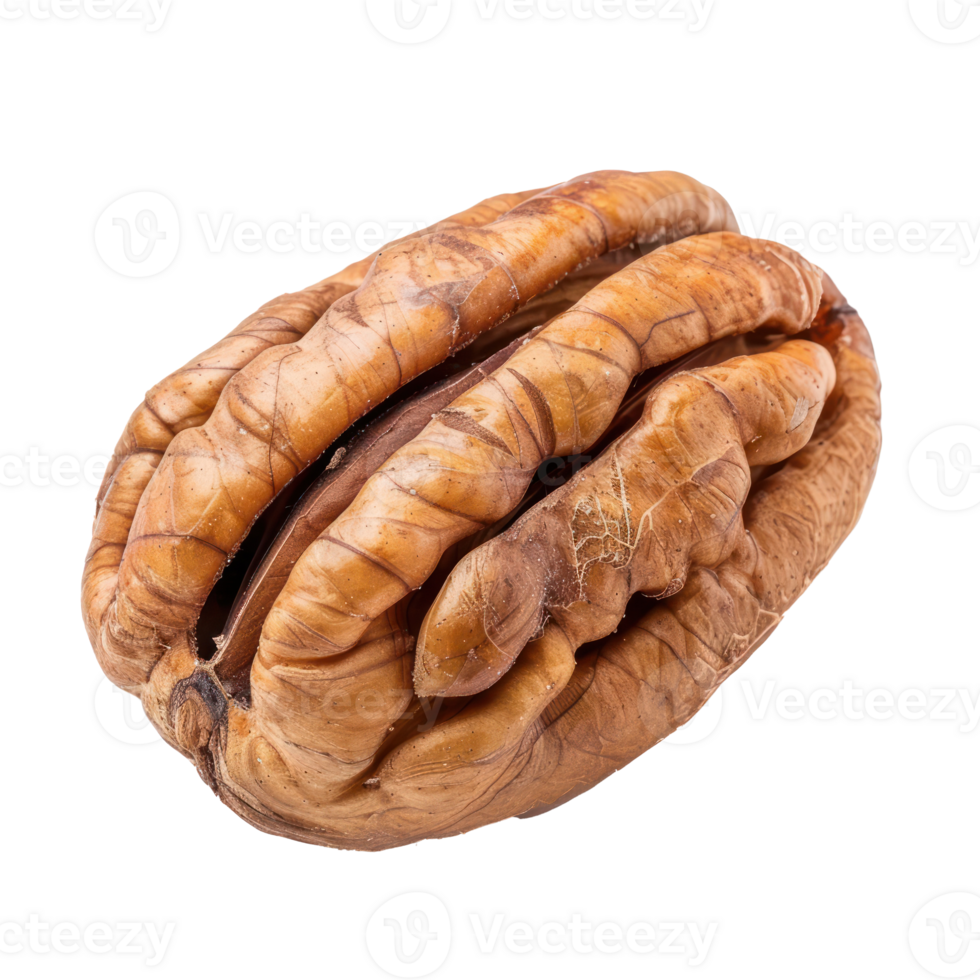 Closeup Pecan isolate on transparency background png
