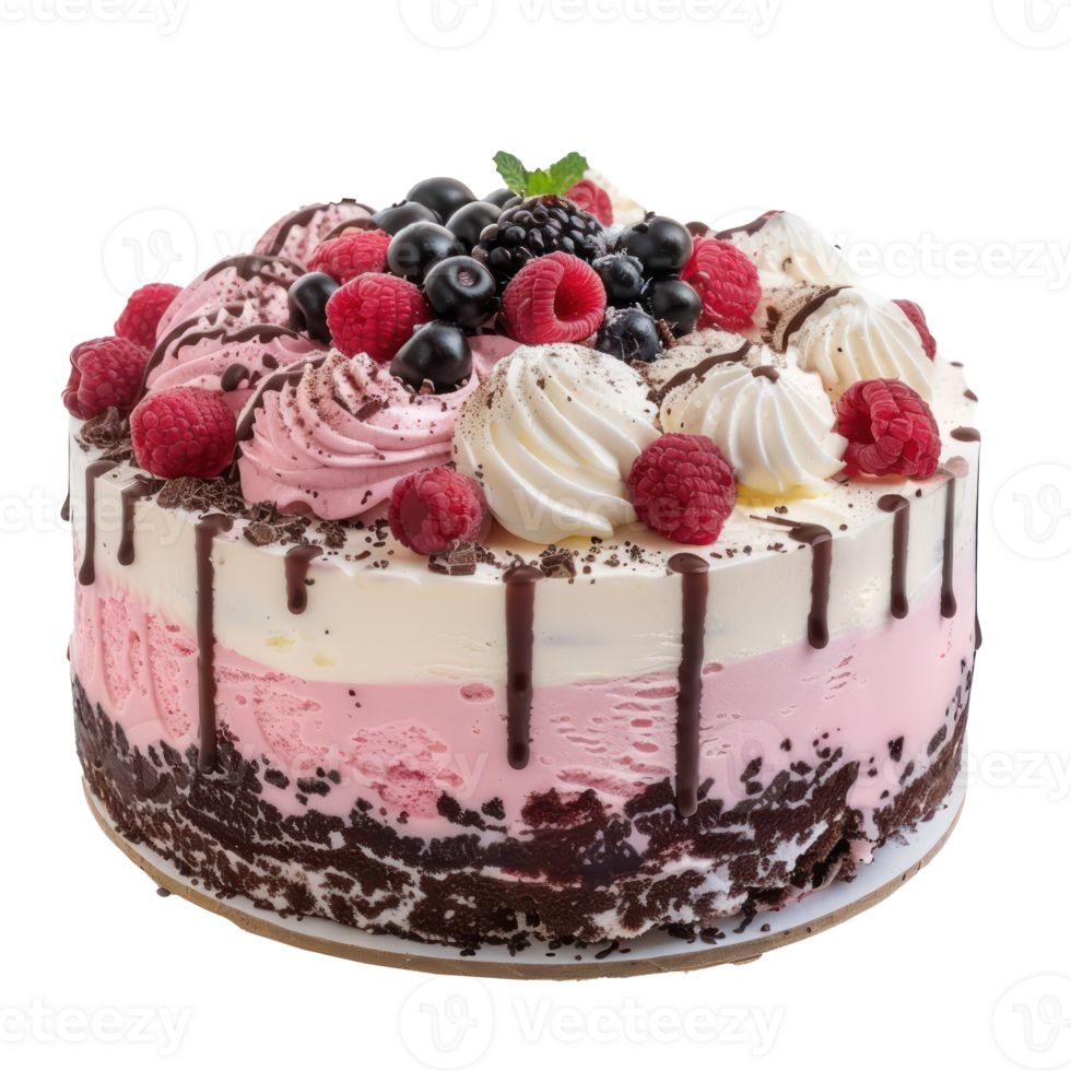 Ice-cream cake front view full length isolate on transparency background png