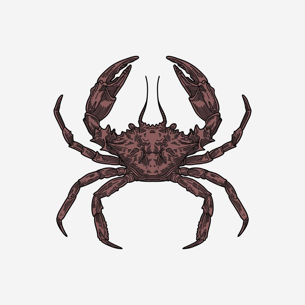 Crab hand drawn colorful illustration artwork vector