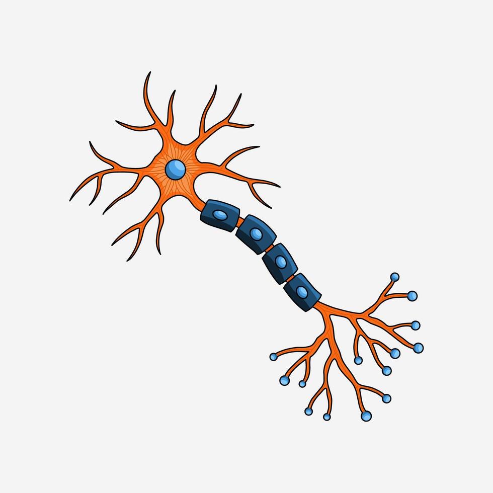 Brain nerve cells neurons colorful handmade illustration artwork drawing vector