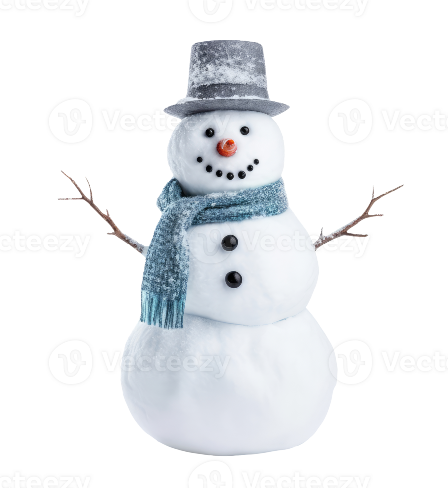 Snowman with hat isolated on transparent background png