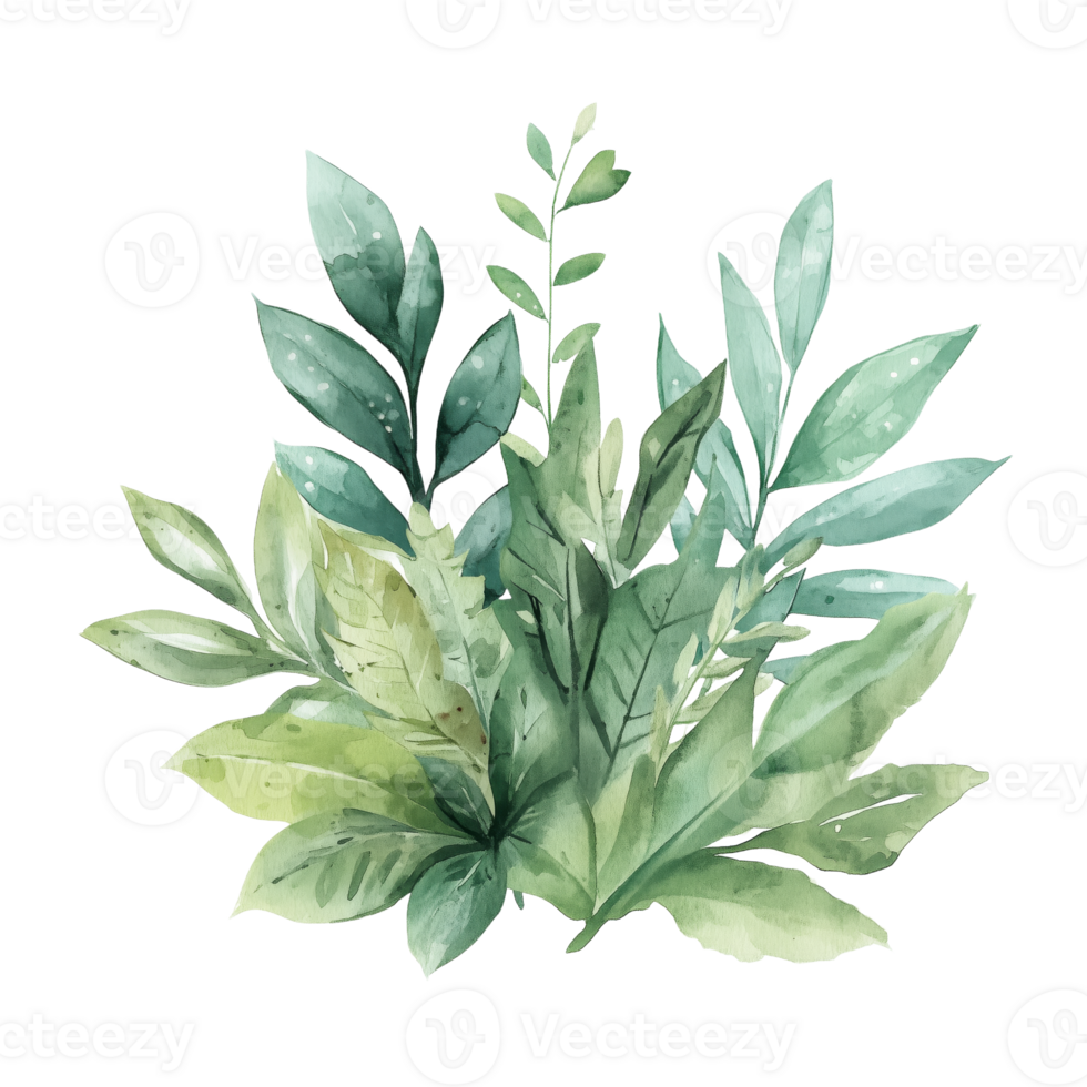 Beautiful Watercolor Illustration of Green Leafy Plants png