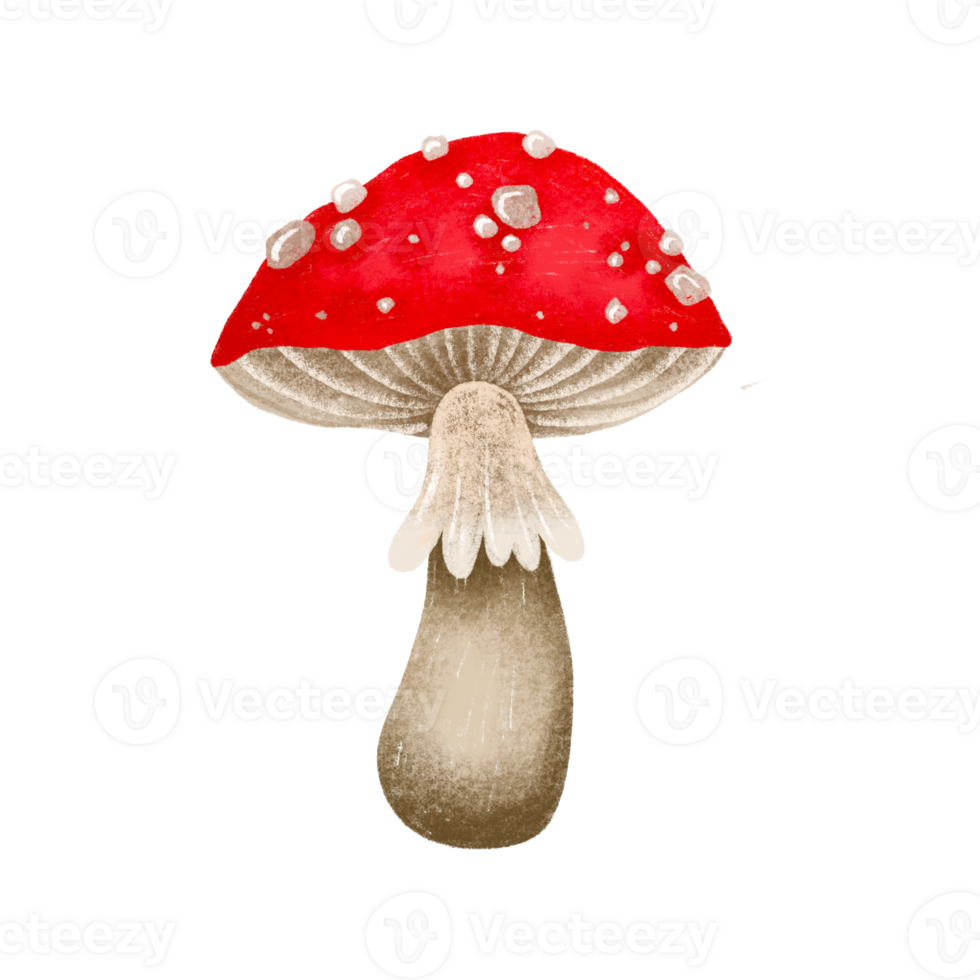 Hand Drawn Cartoon Fly Agaric Mushroom with white spots Amanita Muscaria, Fly Agaric Illustration. Magic Mushroom isolated element png