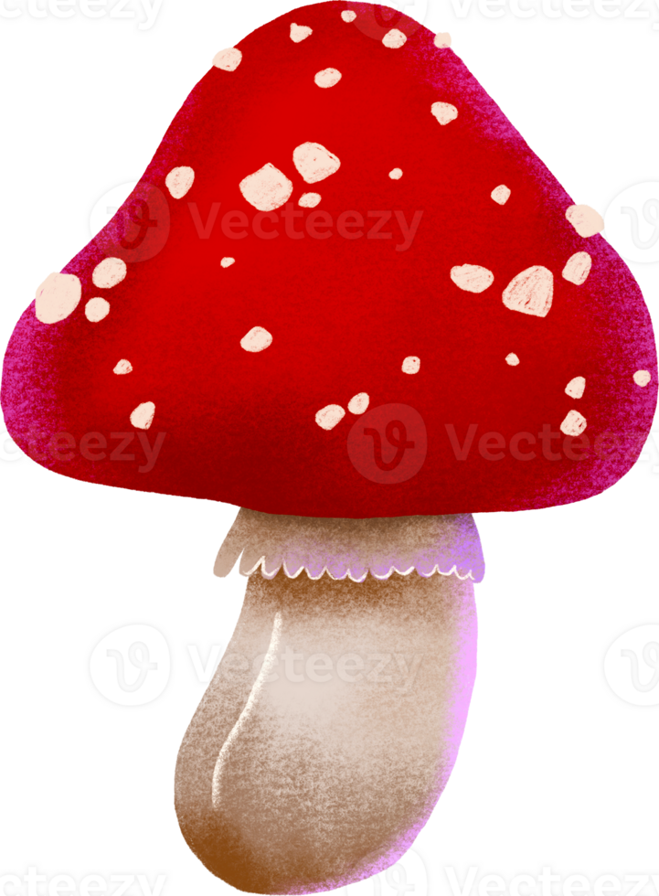 Hand Drawn Cartoon Fly Agaric Mushrooms Amanita Muscaria, Fly Agaric Illustration, Mushrooms. Magic Illustration on isolated background png