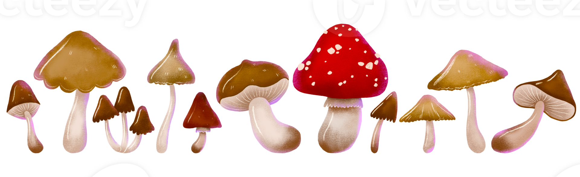 Mushroom set in hand drawn pencil style. Cute doodle simple illustrations of boletus, enoki and toadstool. Big collection of magic mushrooms. png