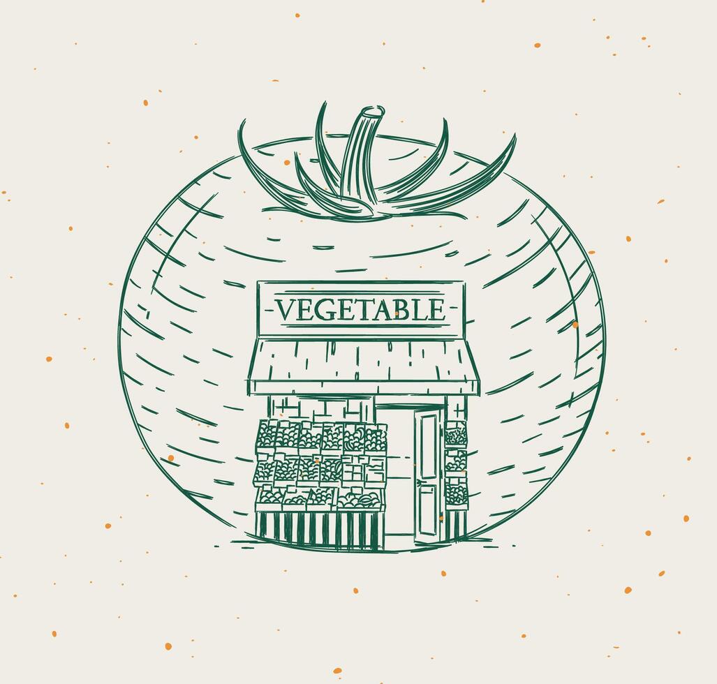 Tomato vegetable a storefront of grocery store drawing in vintage style on beige background vector
