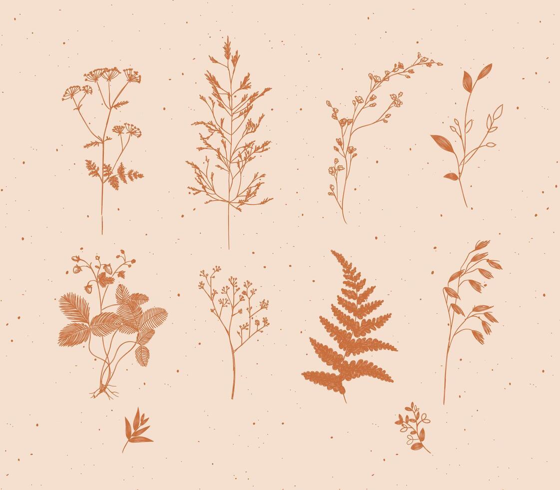 Set of leaves and branches floral style drawing in mustard color on beige background vector