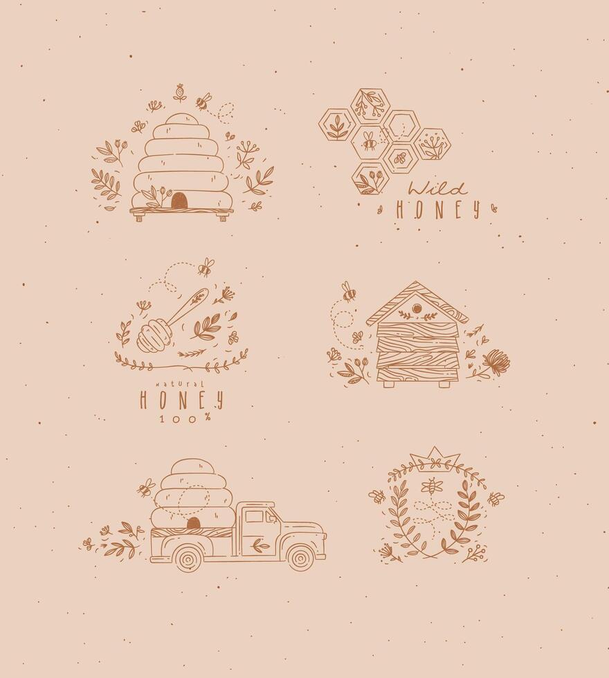 Honey collection of labels, beehive, honeycomb, spoon with flower and branches drawing in graphic style on beige background vector