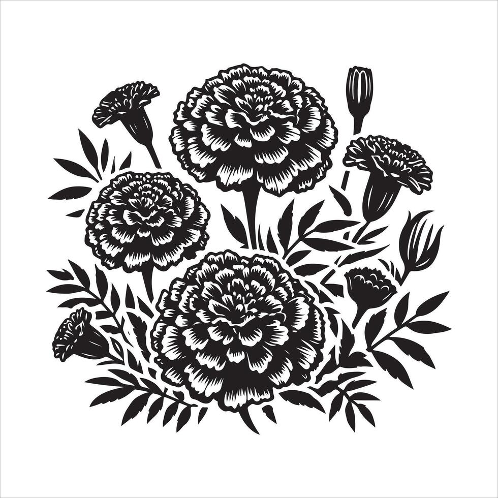 Marigold flower EPS file vector