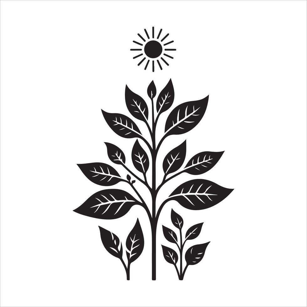 Plant growth EPS file vector