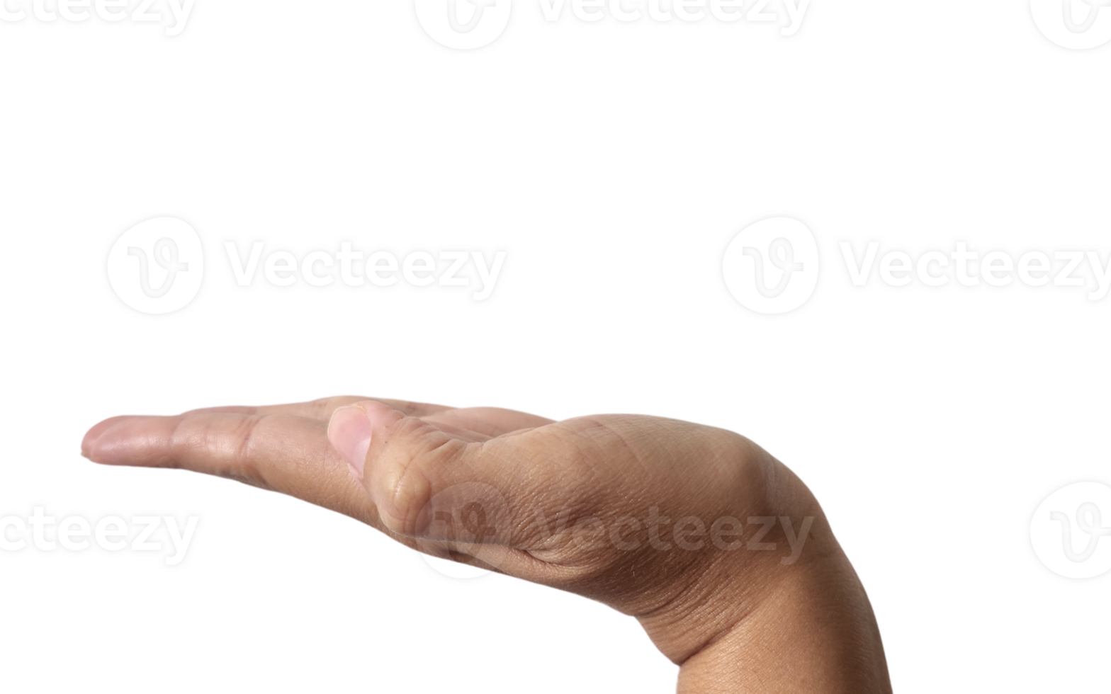 Image without background hand png
