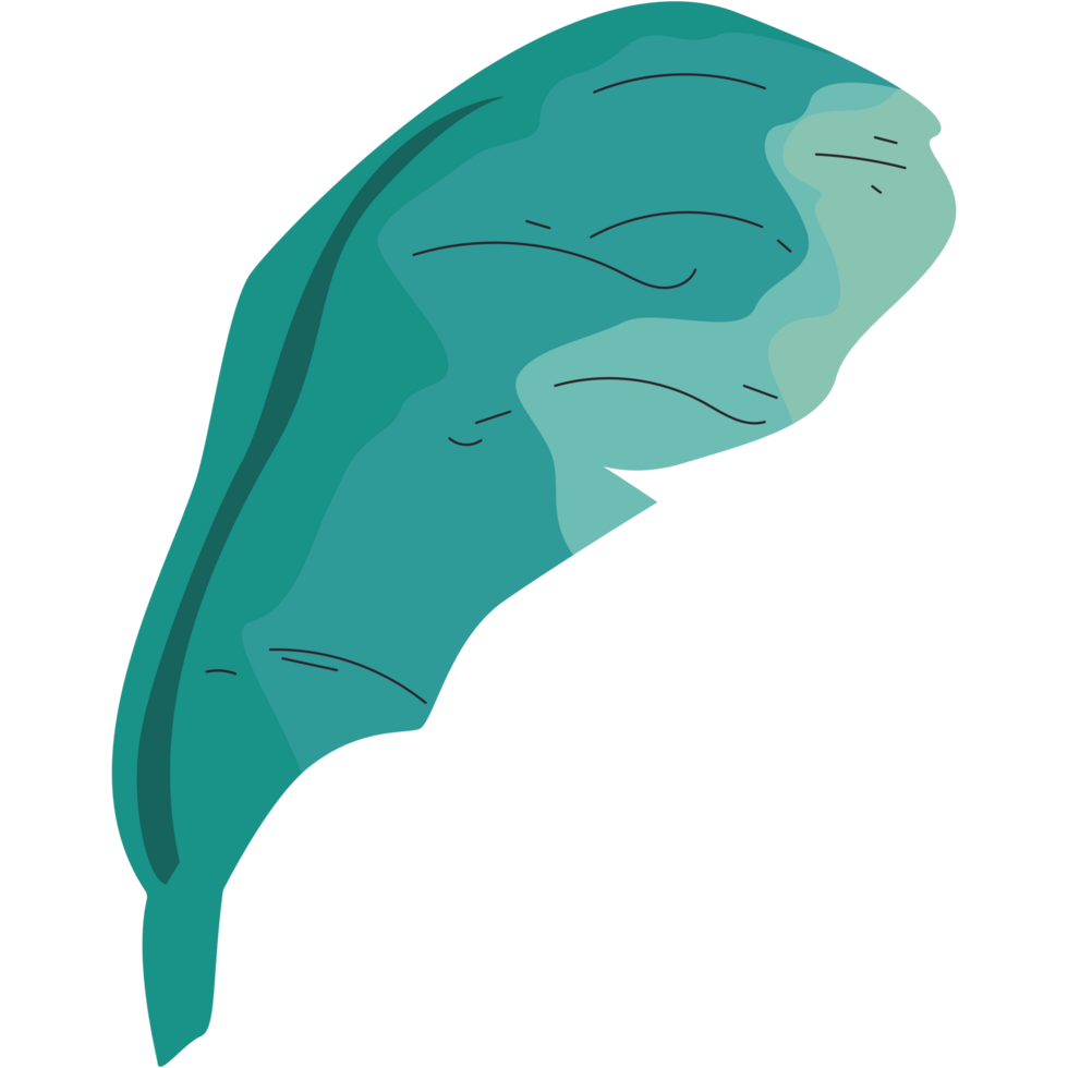 green leaf nature element png