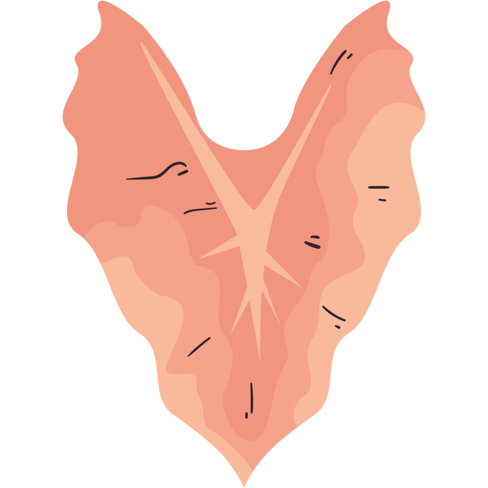 dry leaf nature element png