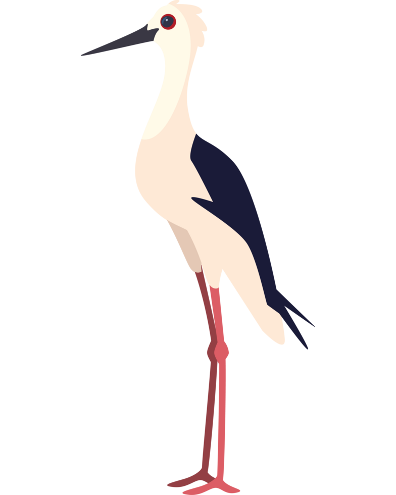 standing stork bird png