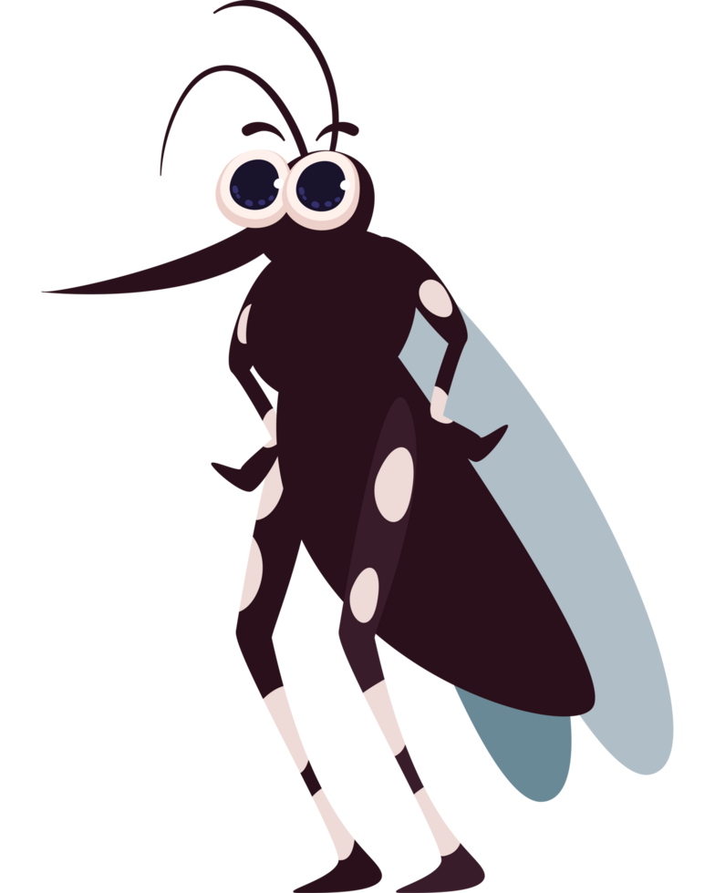 cartoon mosquito aedes aegypti png