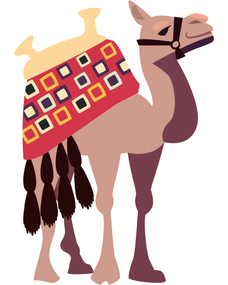 bikaner camel festival traditonal indian png