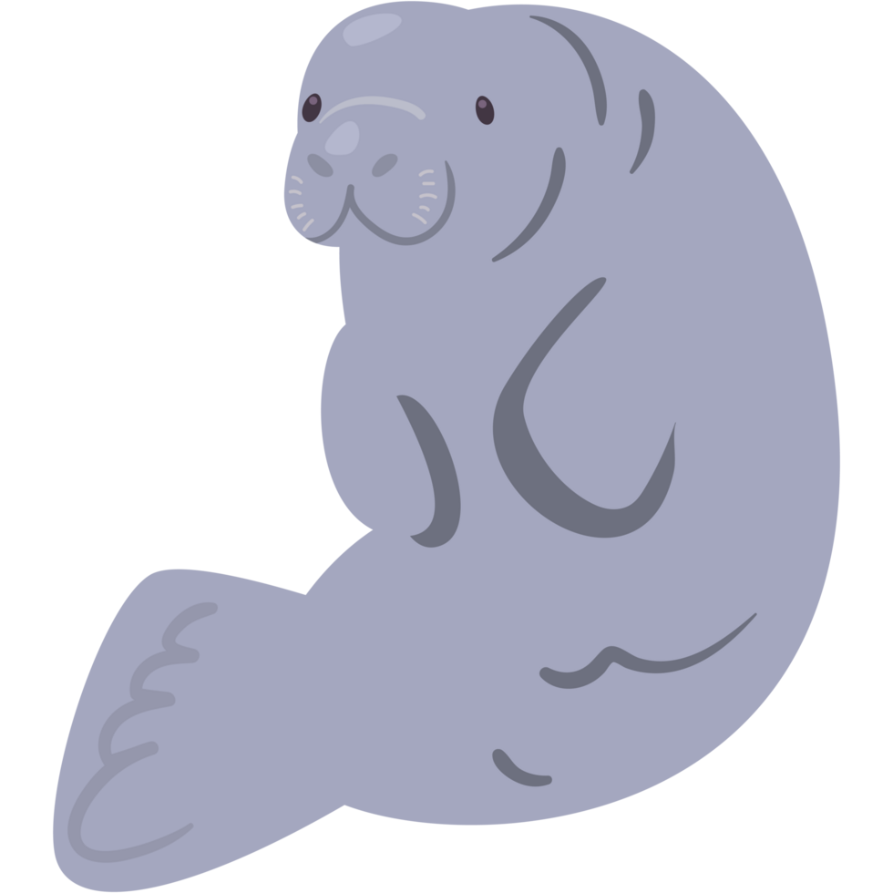 manatee sea animal cartoon png