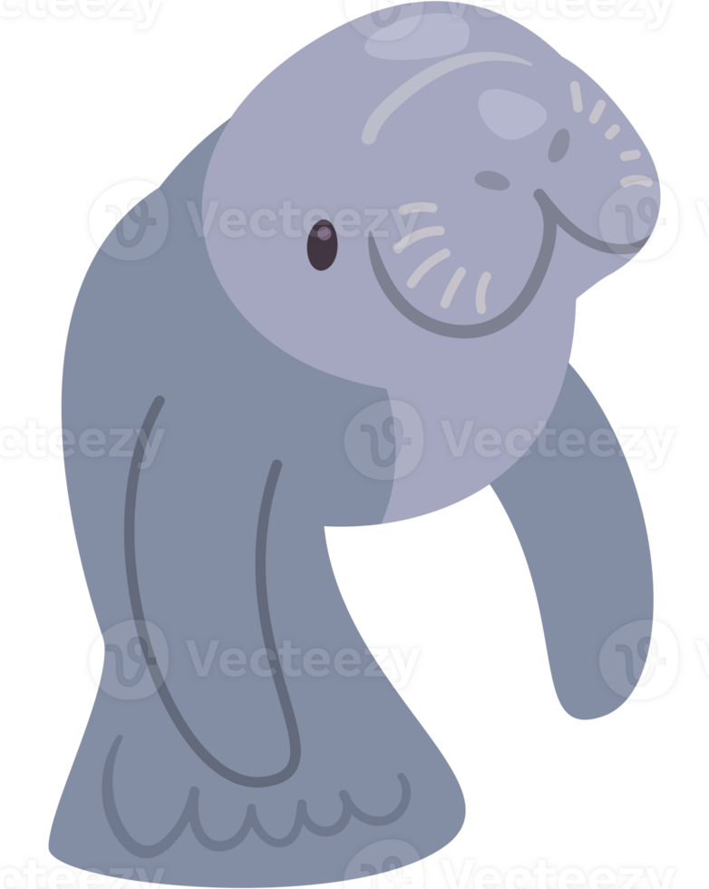 cute seacow aquatic animal png