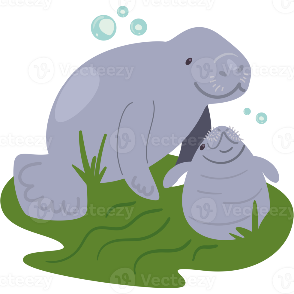 mother and cub of seacow png