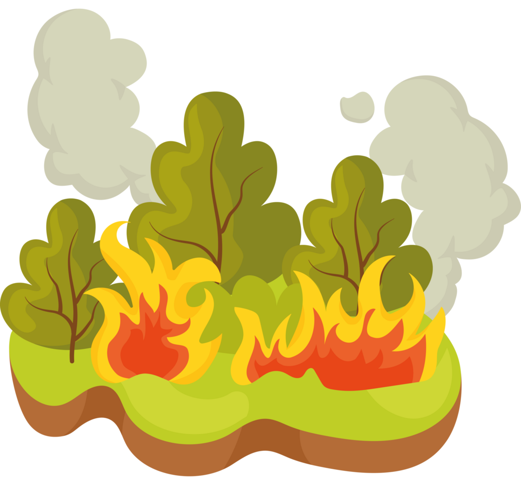 forest fires destruction png