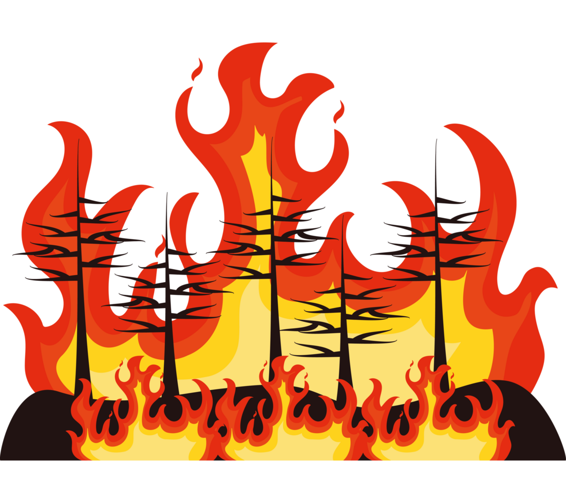 forest fires deforestation png