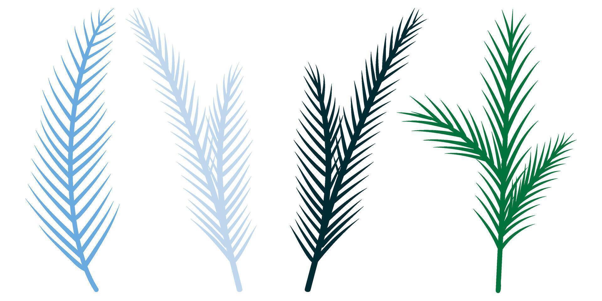Set of spruce twigs, pines branches illustration, foliage, fir, winter branch elements. vector