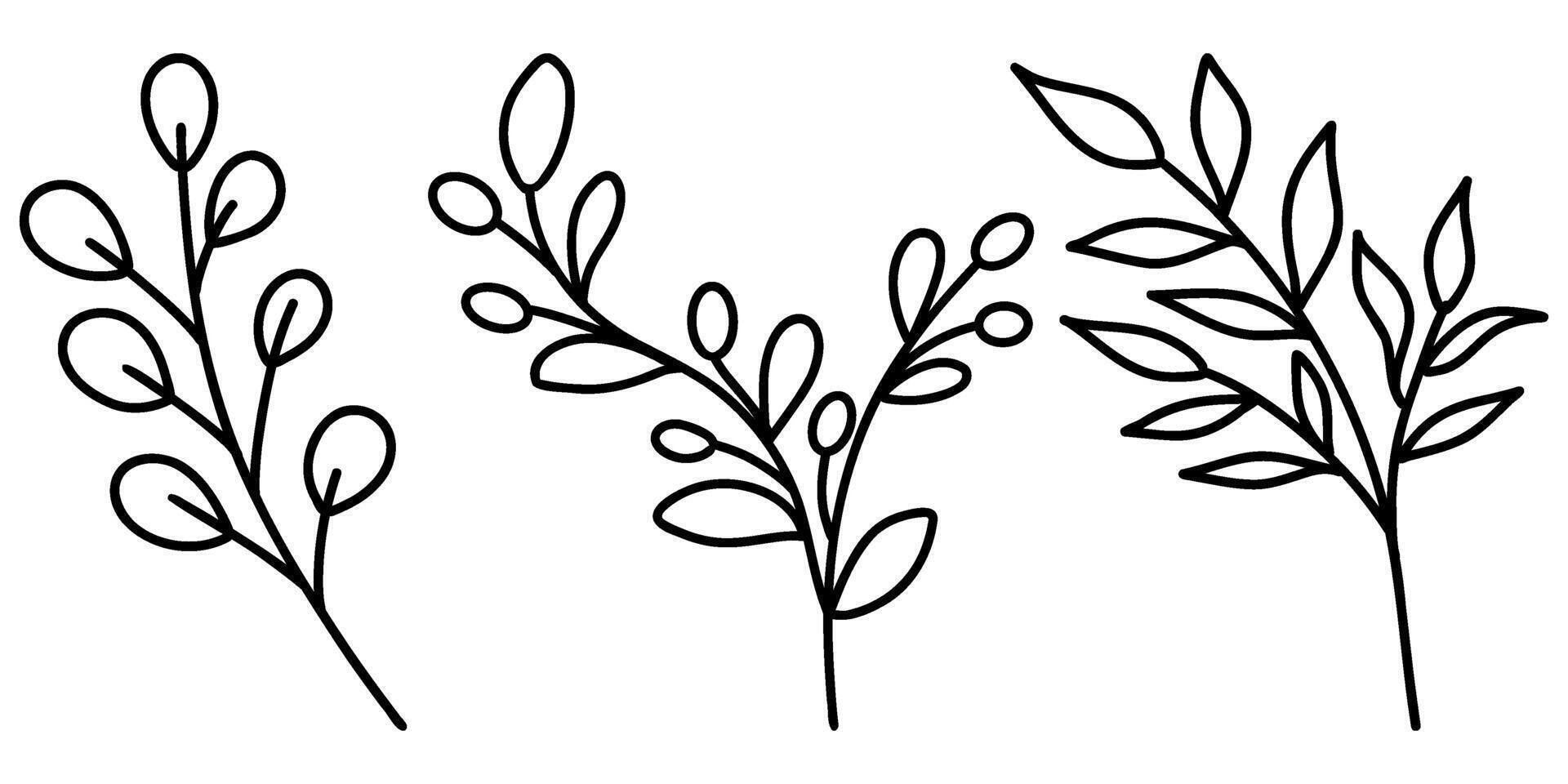 Set of doodle leaves, Foliage Clip Art vector