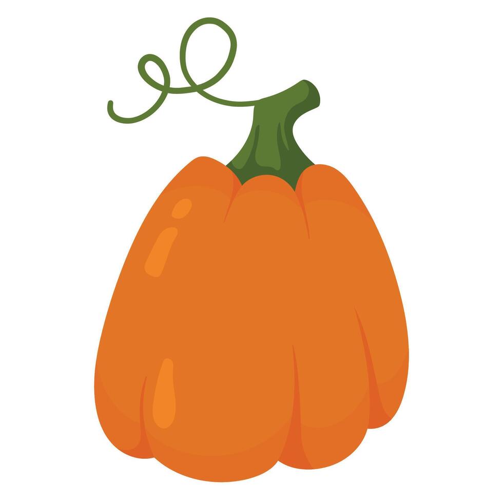 Decorative autumn pumpkin isolated on white background. Fall harvest gourds. Element for autumn decorative design, Halloween, Thanksgiving invitation vector