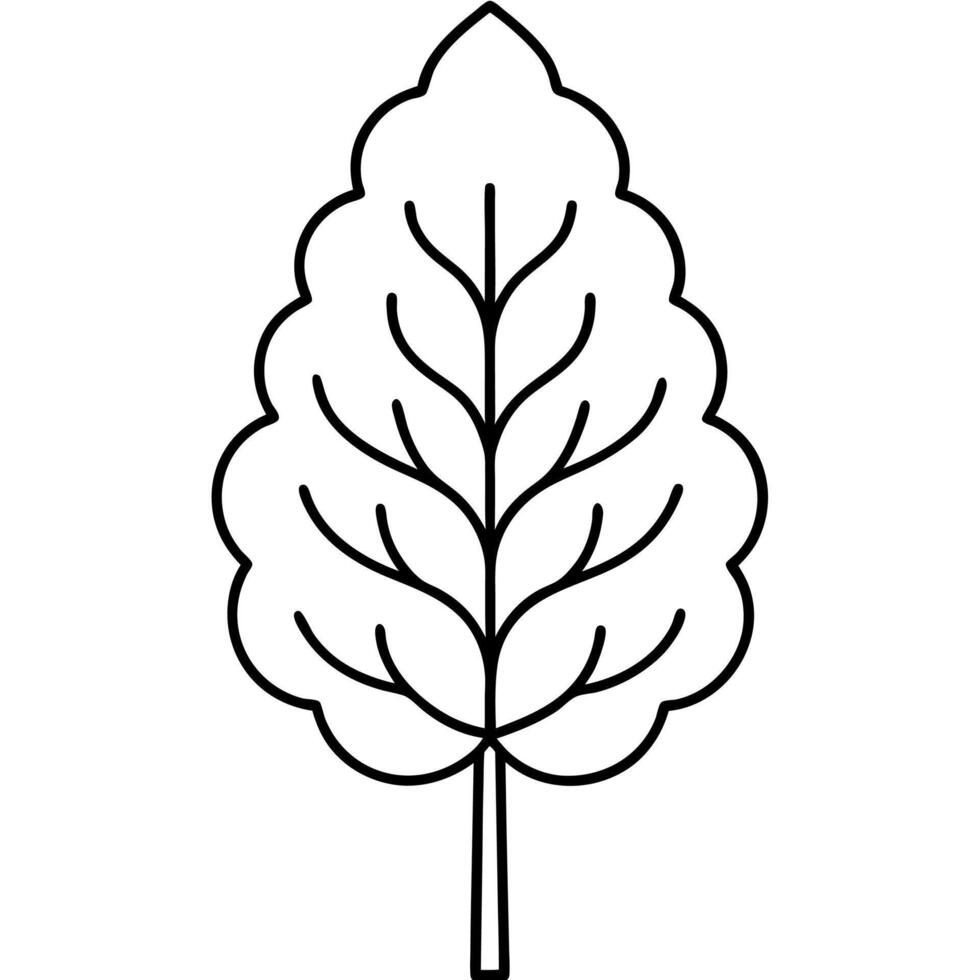 A leaf outline on a white background vector