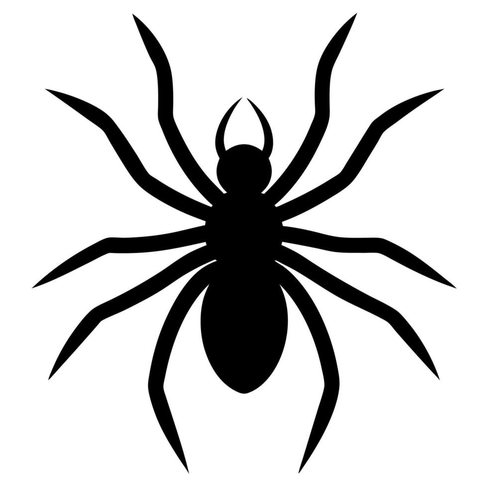A black spider on a white background vector