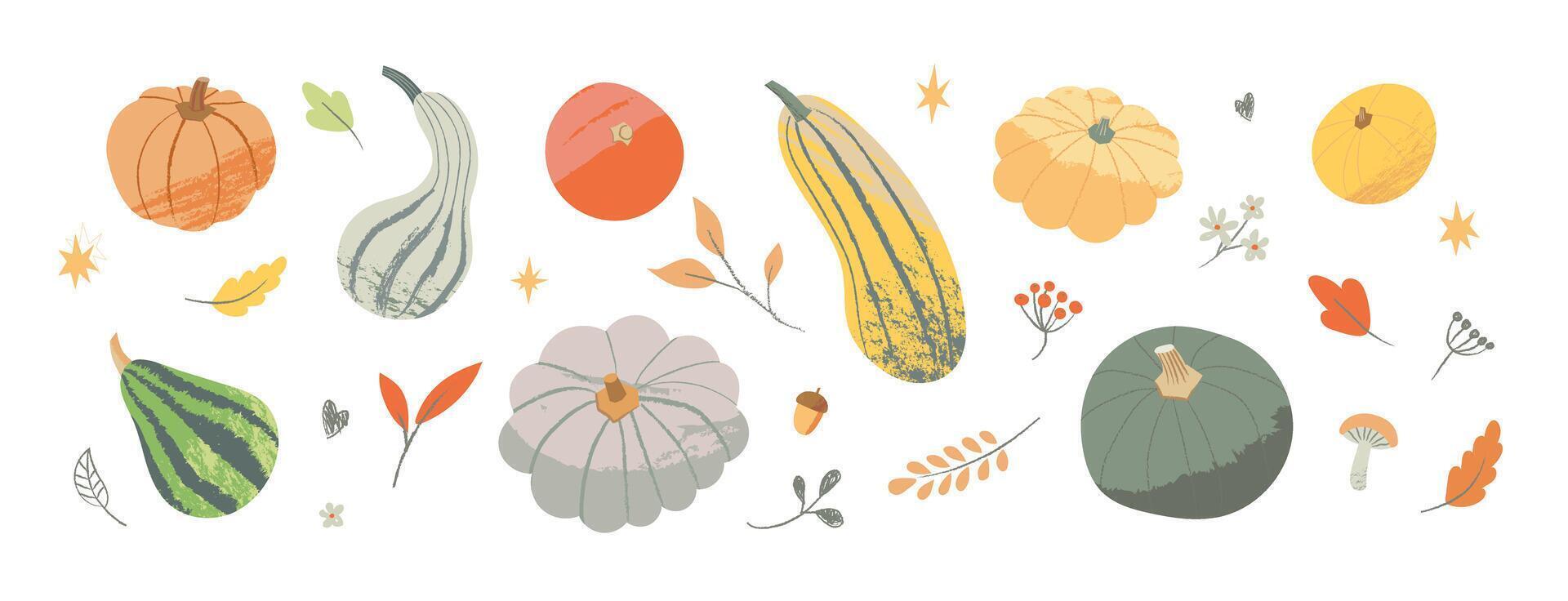 Set of Seasonal Pumpkins and Foliage isolated on white background. Collection of colorful squashes and gourds for Thanksgiving. Autumn Harvest time illustration vector