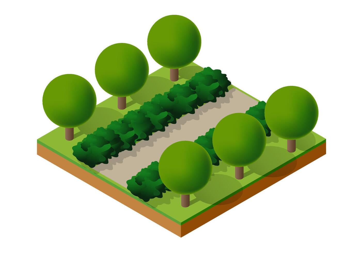 Isometric illustration of a forest with trees and a road vector