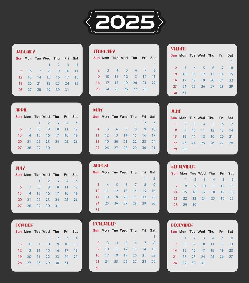 2025 twelve month calendar design vector