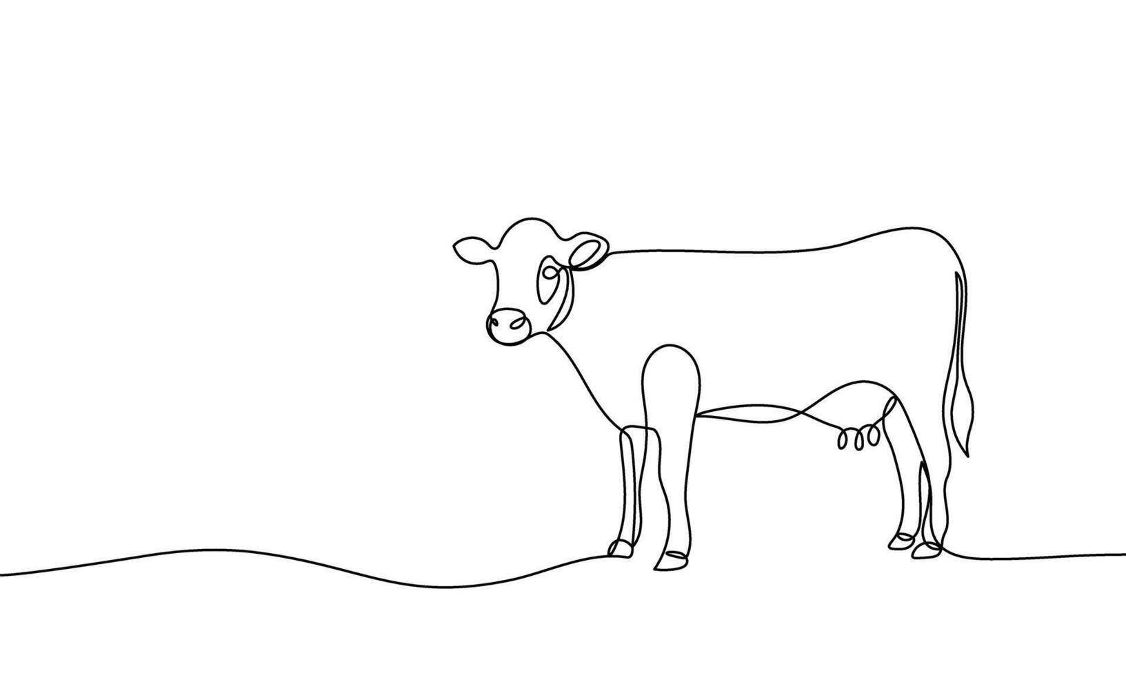 Banner continuous line cow. Domestic cattle. Animal. Linear minimal style. Illustration vector