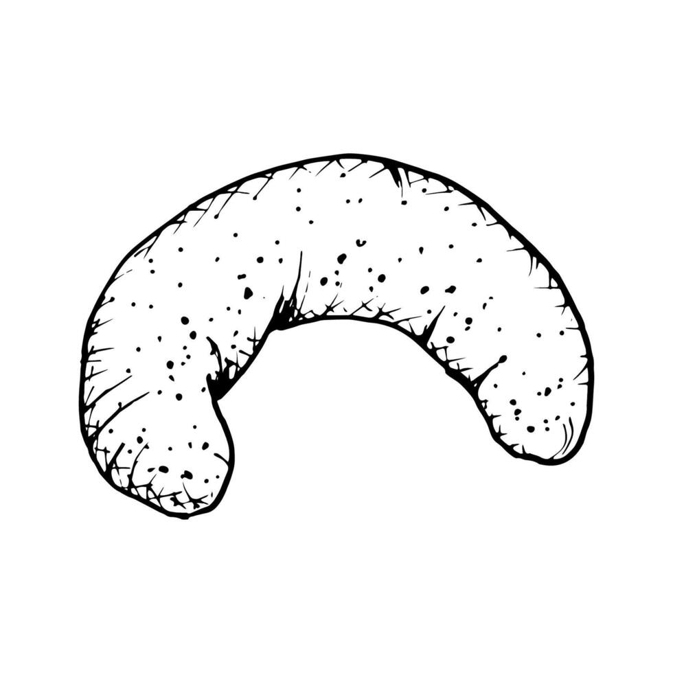 A hand drawn illustration of a vanilla crescent shaped cookie with a textured. Monochrome sketch of crumbly, soft pastry, ideal for bakery branding, culinary projects, or food themed designs. vector